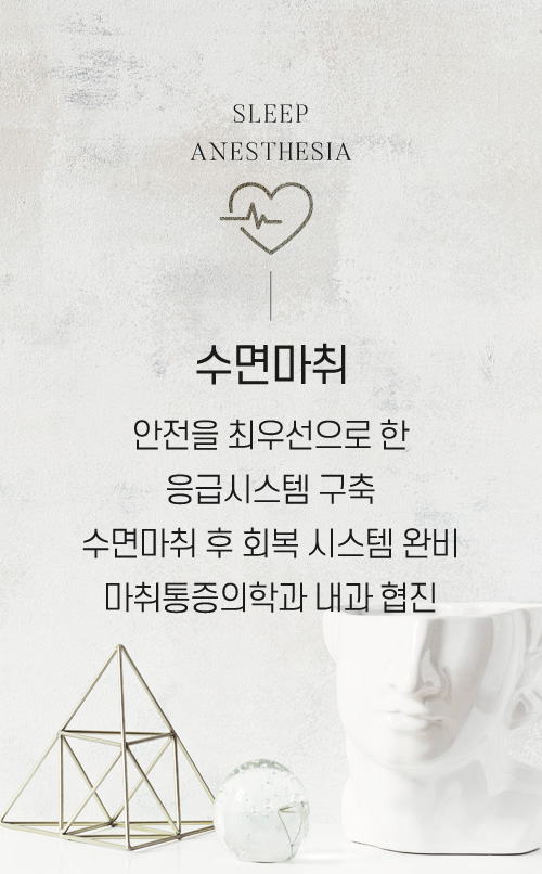 수면마취 : 안전을 최우선으로 한 응급시스템 구축