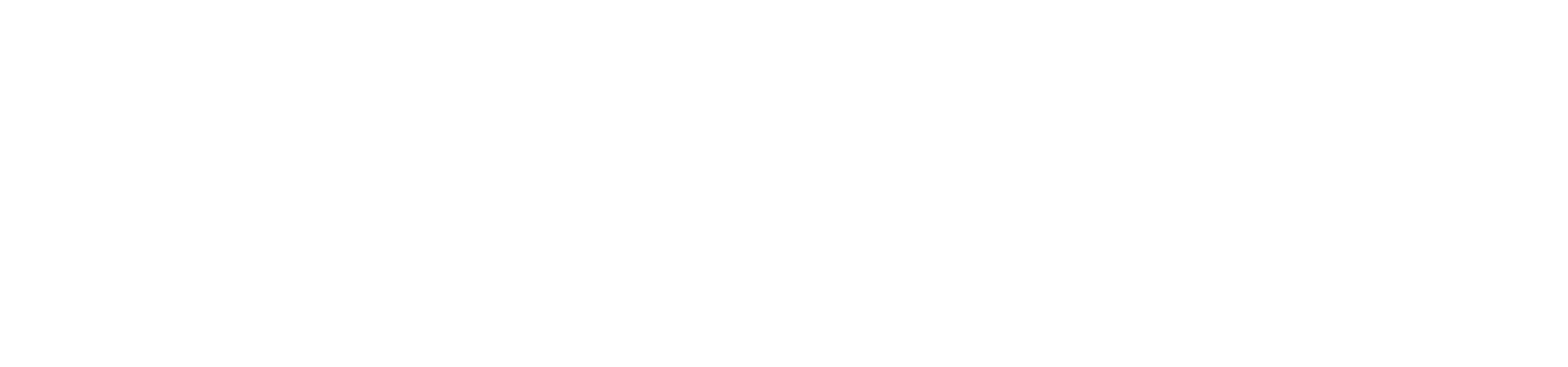 울쎄라 써마지 FLX